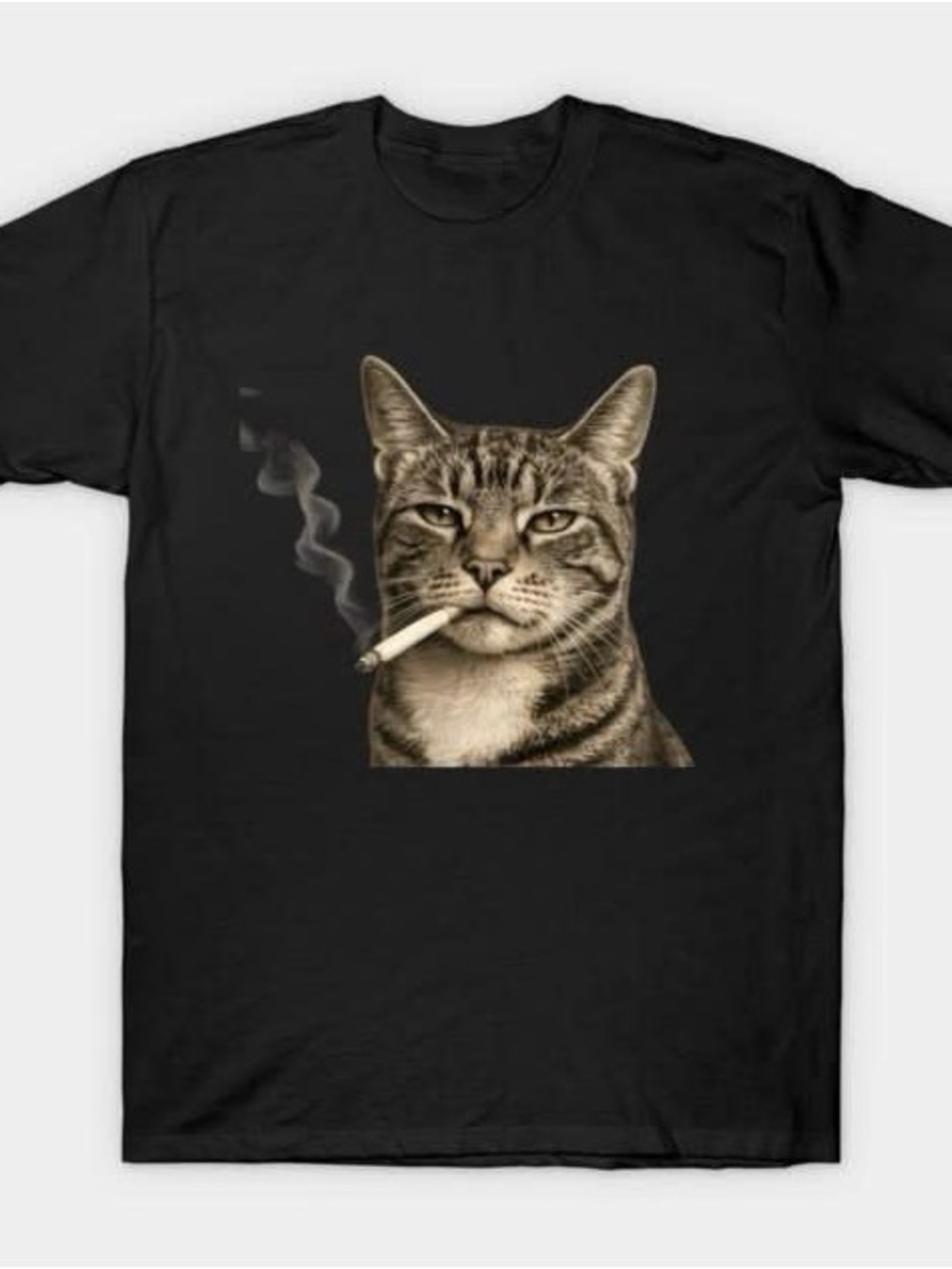 Tabby Cat Smoookibg Graphic